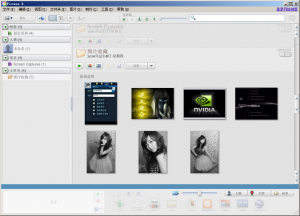 Google Picasa(谷歌图片浏览)