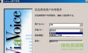 ibm viavoice中文语音输入系统v9.1for Windows