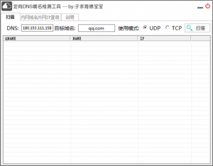 定向DNS域名检测工具
