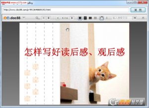 道客巴巴下载辅助工具(亲测可用)