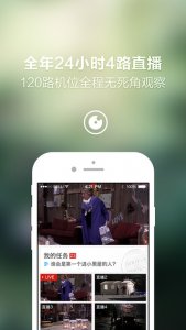 大家15个iPhone版 v1.2.4 苹果手机版