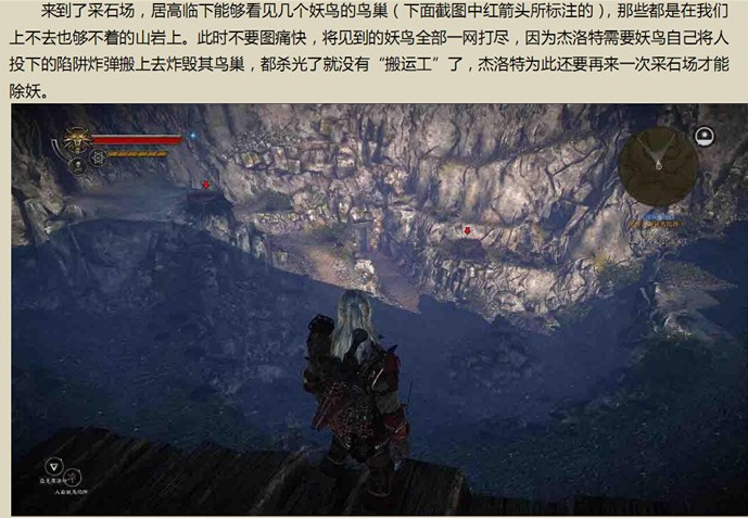 巫师2人面妖鸟任务如何过
