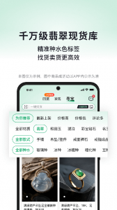 对庄翡翠