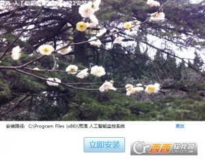 雨滴AI监控